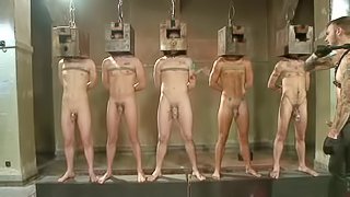 A few horny gays get tormented and fucked in a group BDSM scene