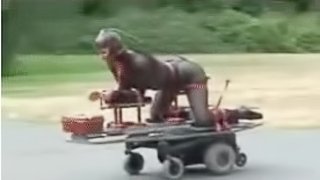 Guess the Country