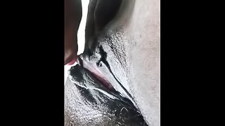 Chase Carter Eating Ava Carter Pussy Neighbor Next Door for Pornhub