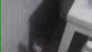 PERISCO brasil  lol s