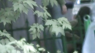 This is a silly footage of women pissing in the park