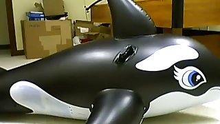 mating inflatable whale toy 3