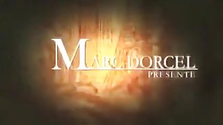 Sexy girls love living out their horny fantasies