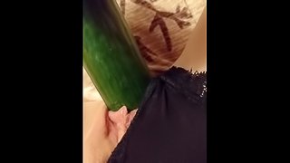 Fucking myself with a huge cucumber til I squirt