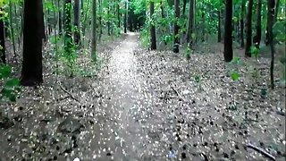 Highhels retrospective